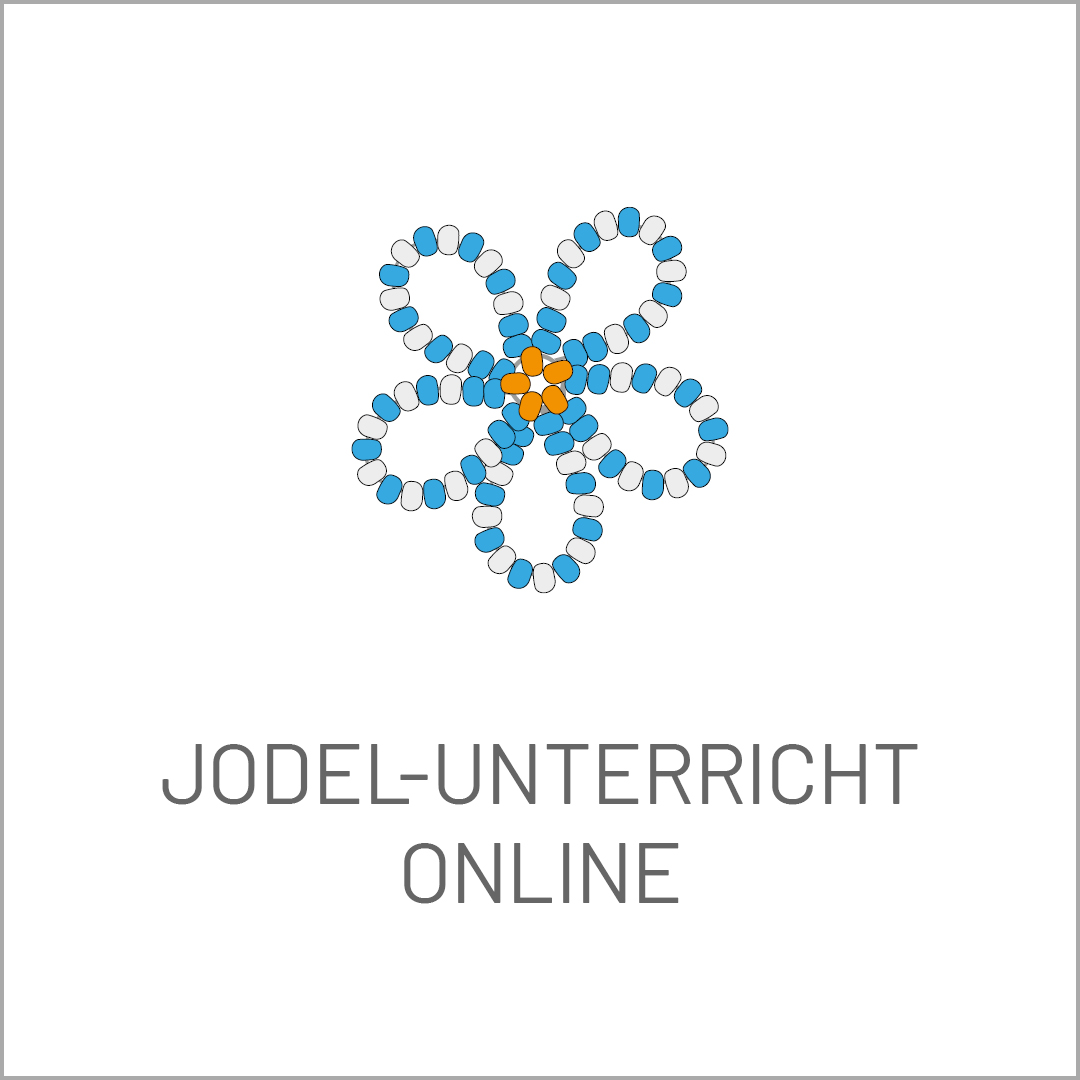 Jodel.ch, Nadja Räss, Online-Unterricht-Button